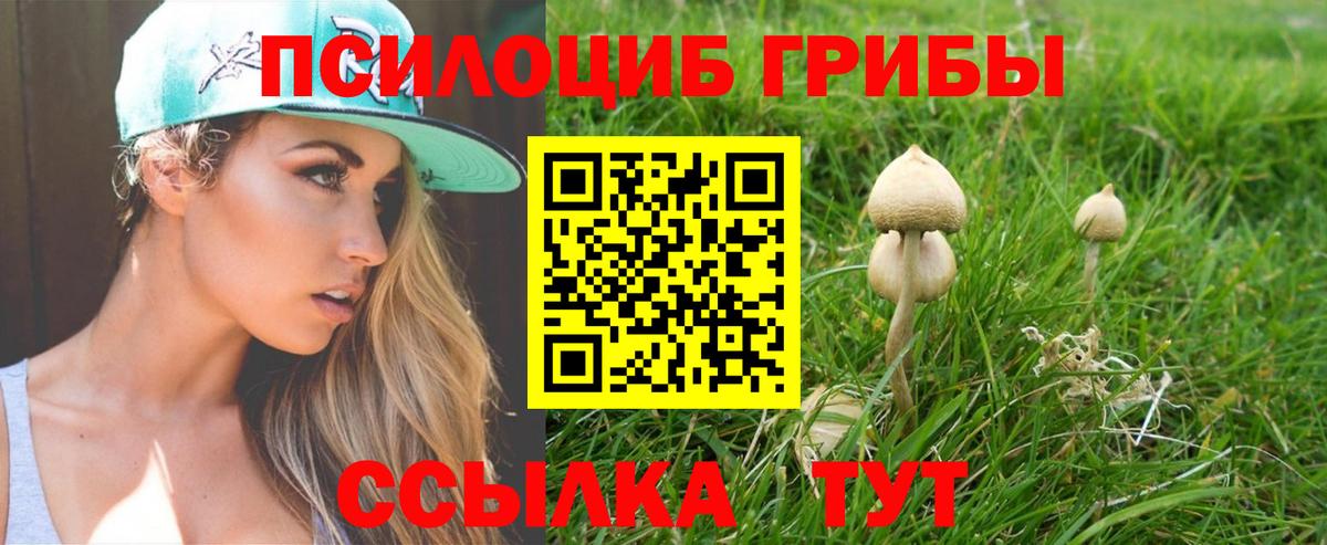 Галлюциногенные грибы мицелий Куйбышев