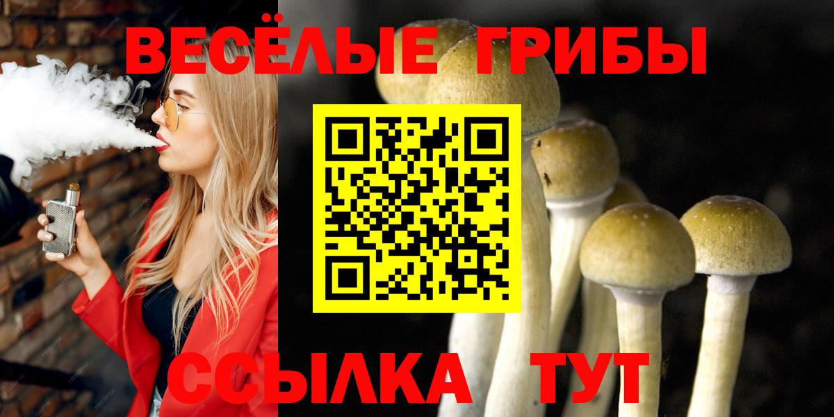 Галлюциногенные грибы Cubensis  Вход с VPN  Куйбышев 