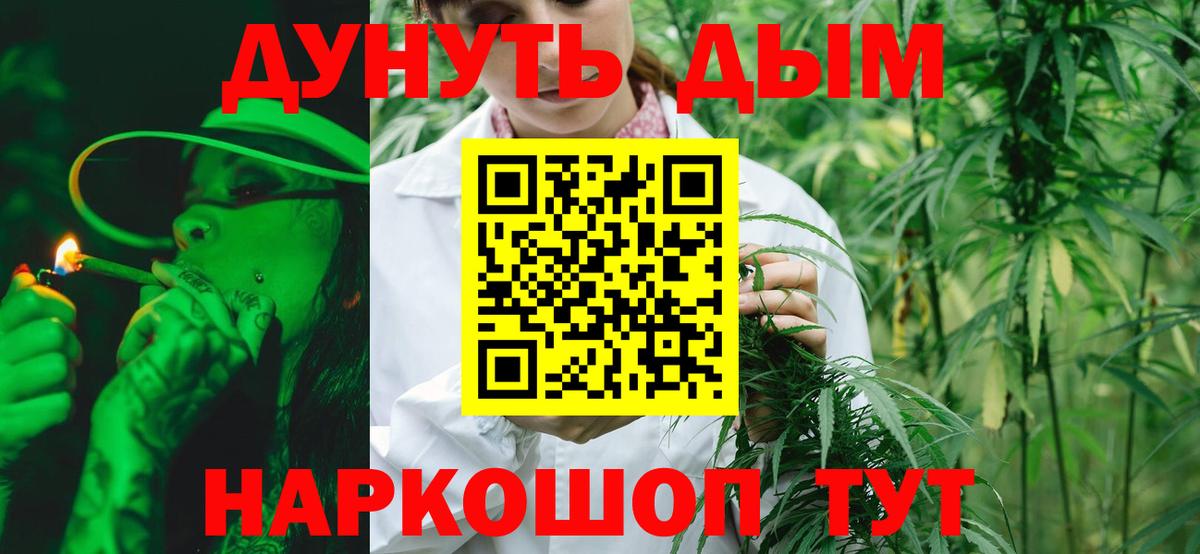 Конопля семена Куйбышев